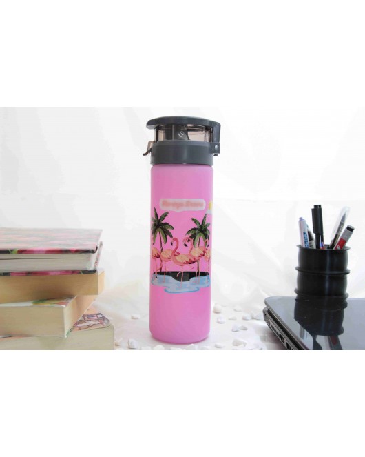 Flamingo Temalı - Renkli Baskılı Cam Suluk & Termos - 550 ml